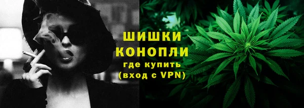 твердый Гусев