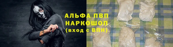 ГАЛЛЮЦИНОГЕННЫЕ ГРИБЫ Гусь-Хрустальный