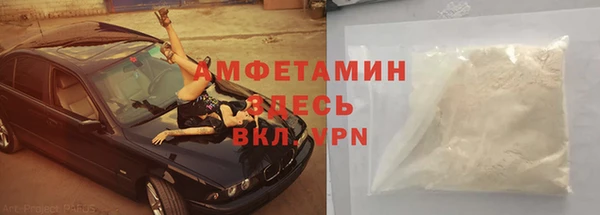 ГАЛЛЮЦИНОГЕННЫЕ ГРИБЫ Гусь-Хрустальный