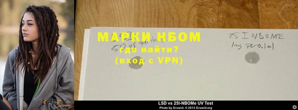 твердый Гусев