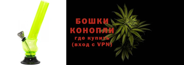 твердый Гусев