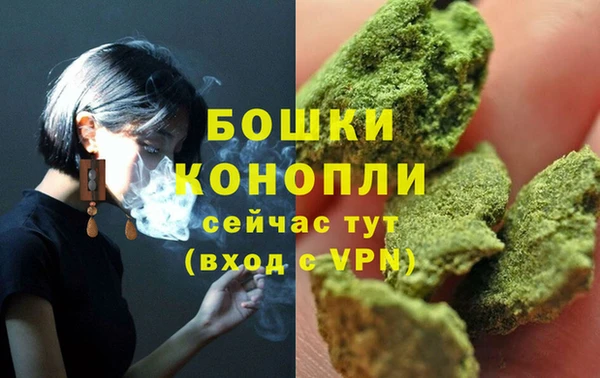 твердый Гусев