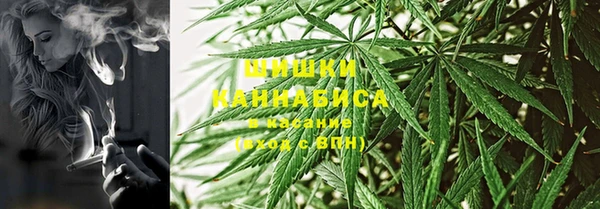 твердый Гусев
