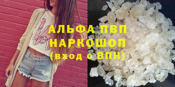 твердый Гусев