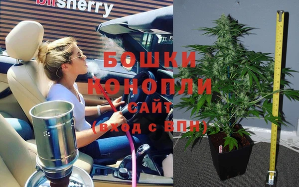ГАЛЛЮЦИНОГЕННЫЕ ГРИБЫ Гусь-Хрустальный