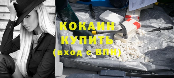 твердый Гусев