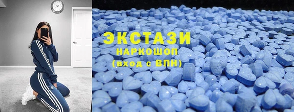 твердый Гусев