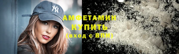 твердый Гусев