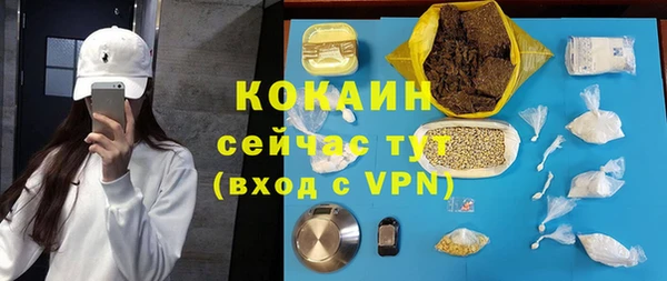ГАЛЛЮЦИНОГЕННЫЕ ГРИБЫ Гусь-Хрустальный