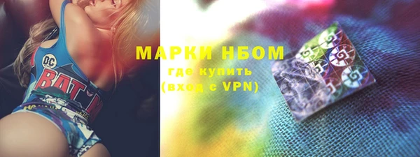 ГАЛЛЮЦИНОГЕННЫЕ ГРИБЫ Гусь-Хрустальный