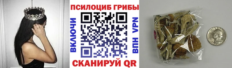 Галлюциногенные грибы Psilocybe  Купить где  Звенигород 