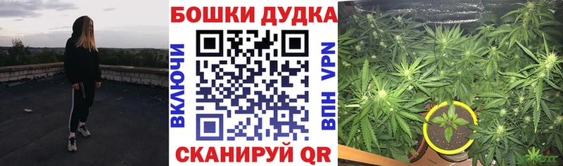 Конопля конопля  Купить  Звенигород 